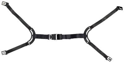 CHINSTRAP 4-POINT IRIS 2
